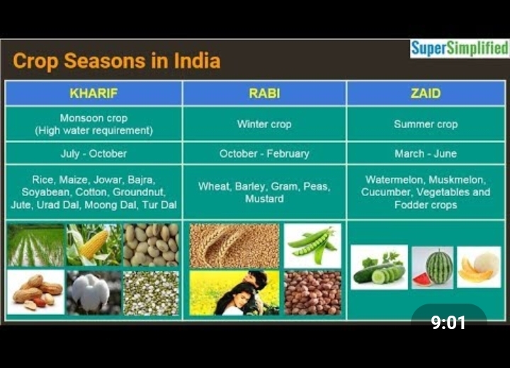 rabi-crops-and-kharif-crops-area-sown-under-kharif-crops-increases-to