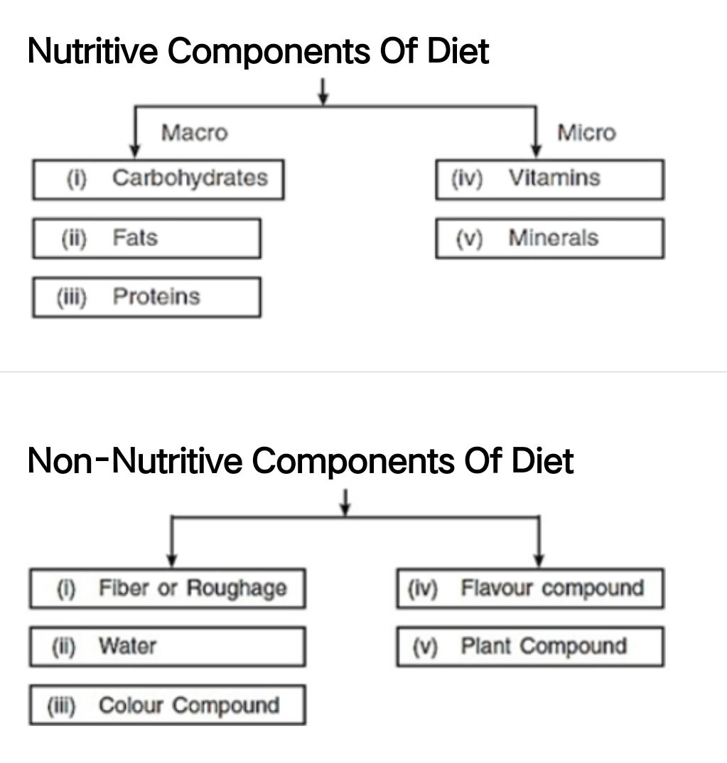What is Nutritive: Unlocking Health Benefits